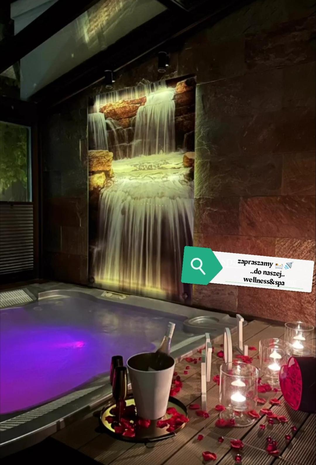 Apartment Roku 2025 !! Spa & Relax Jelen & Natura Kudowa-Zdrój Eksteriør billede