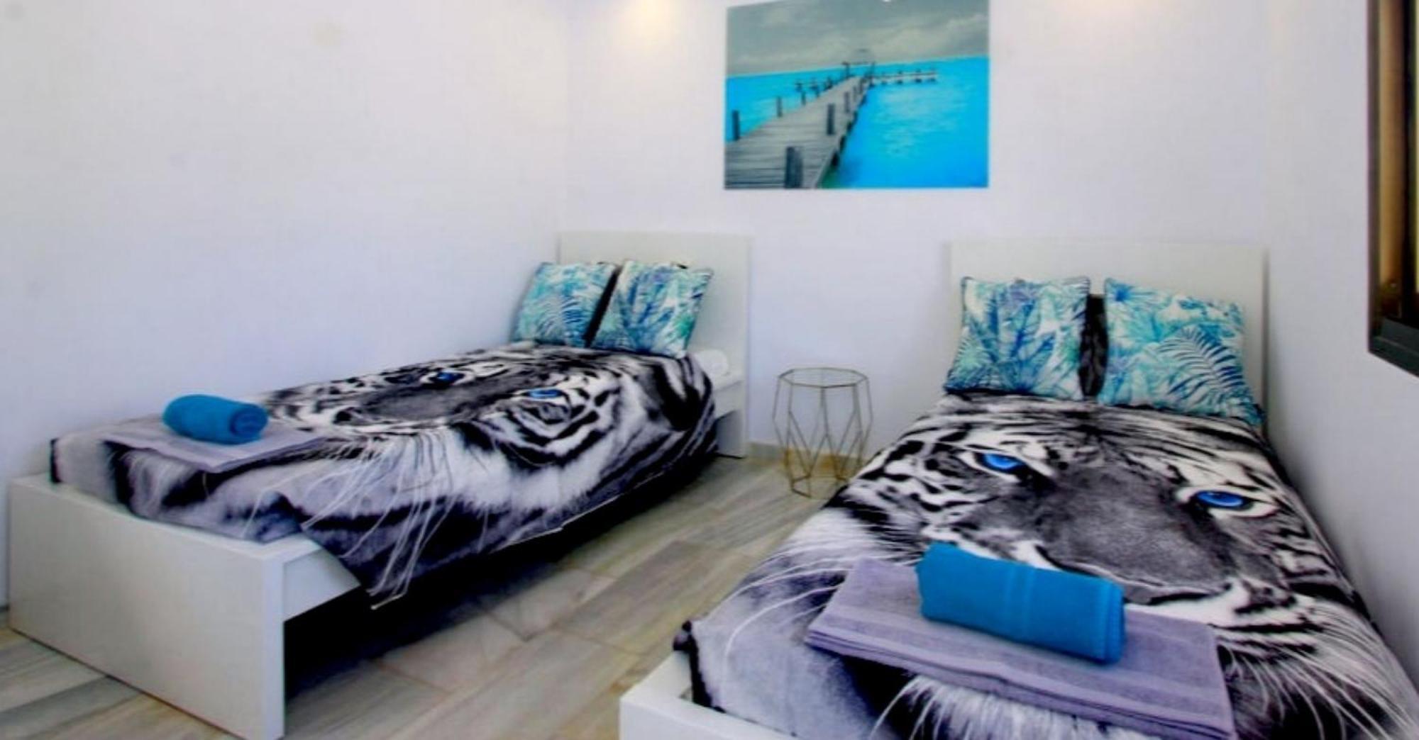 Apartment Roku 2025 !! Spa & Relax Jelen & Natura Kudowa-Zdrój Eksteriør billede