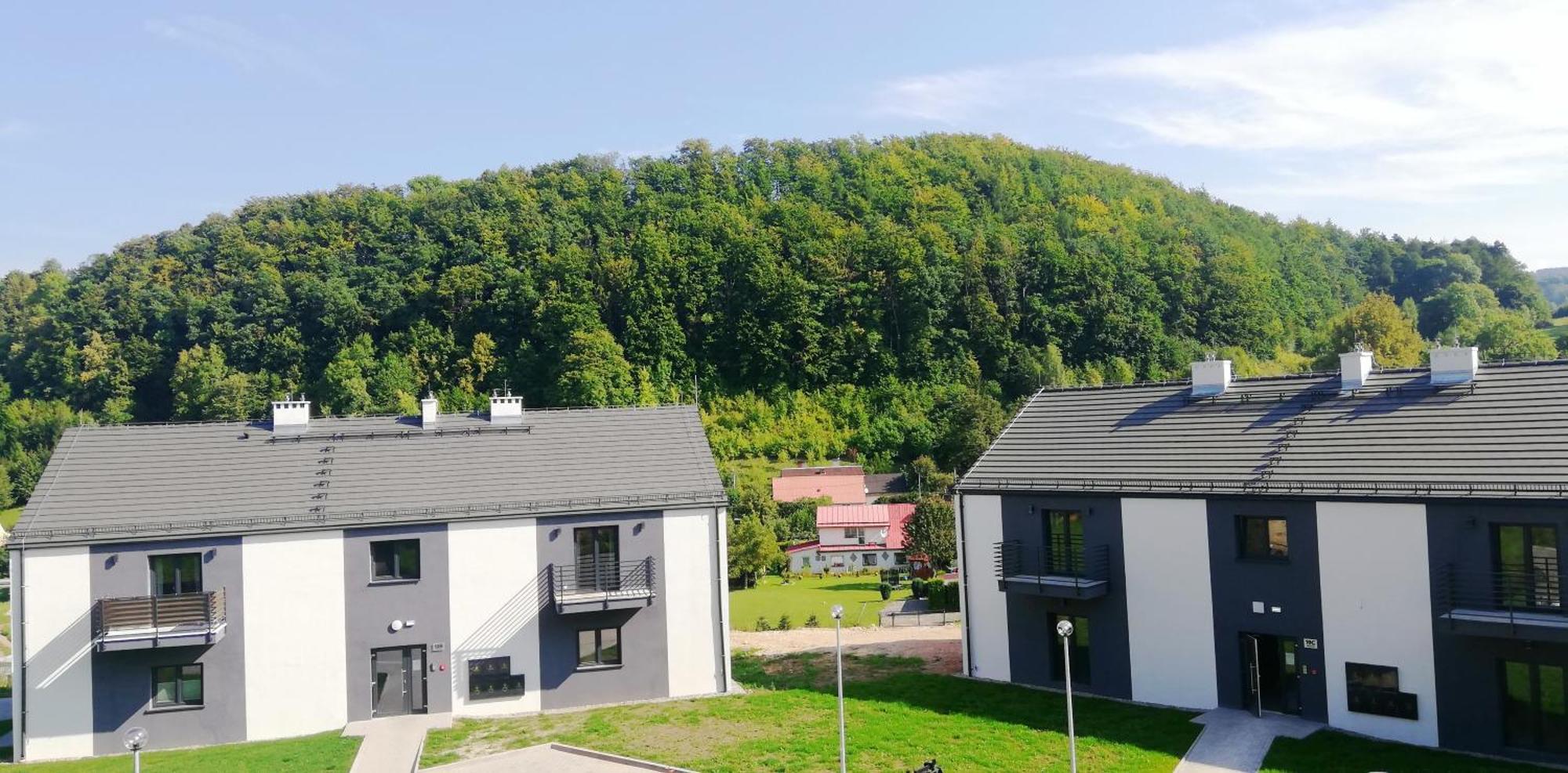 Apartment Roku 2025 !! Spa & Relax Jelen & Natura Kudowa-Zdrój Eksteriør billede