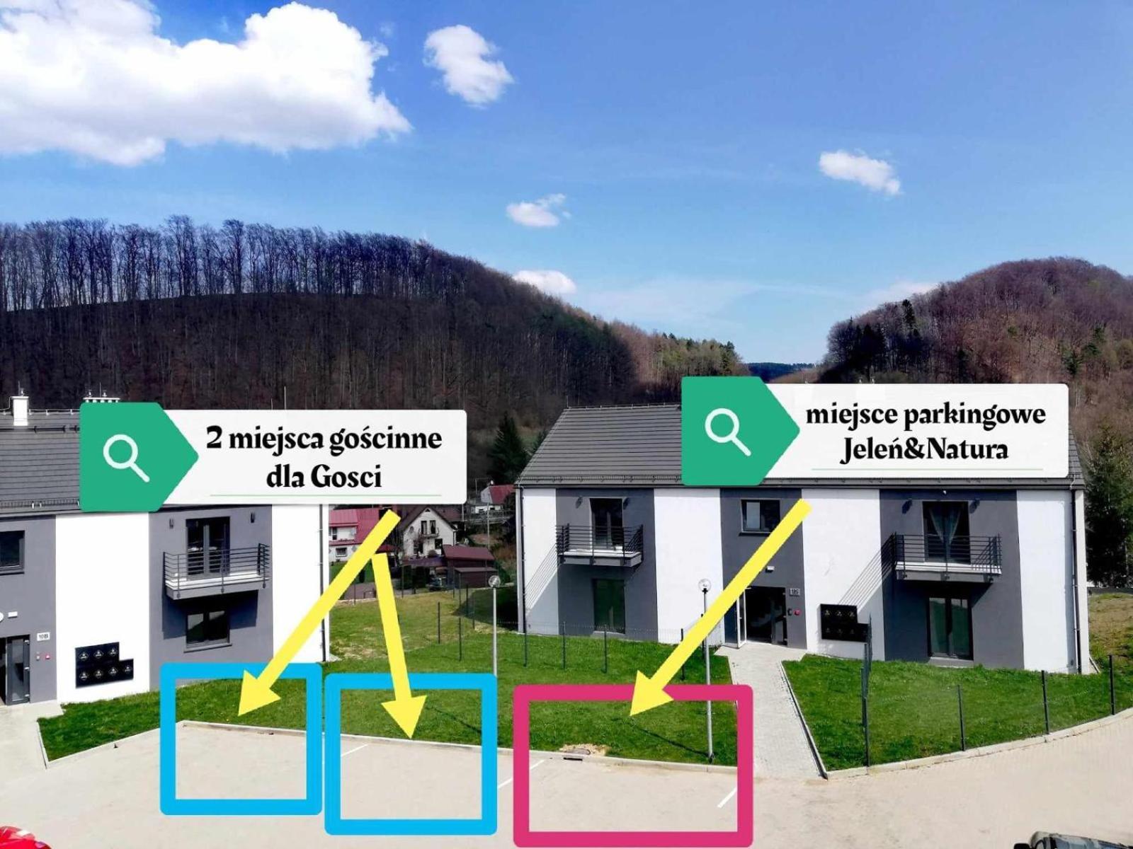 Apartment Roku 2025 !! Spa & Relax Jelen & Natura Kudowa-Zdrój Eksteriør billede
